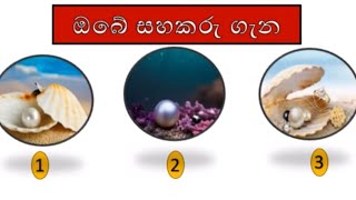 ඔබේ සහකරු සහකාරිය ගැන ටැරොට් කාඩ් වලින් Tarot Reading