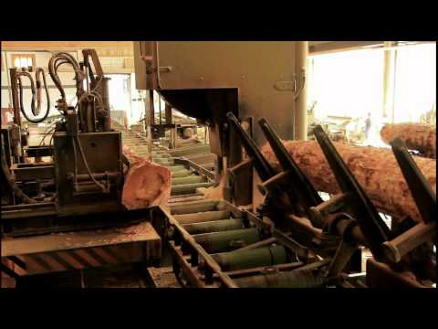 Video: ¿Por qué es importante la industria maderera en Canadá?