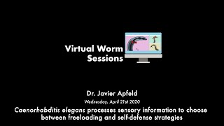 Celebrity VW#5 Dr. J. Apfeld  - C. elegans processes sensory information to choose between defense strategies Profile
