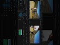 La Importancia del Audio en un Vídeo (El antes y el Después) Adobe Premiere (Zapateo en Shacatan)