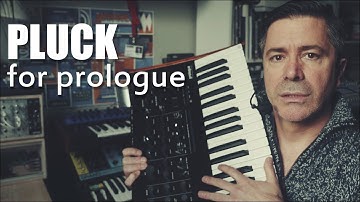Pluck for Prologue - A new User Oscillator