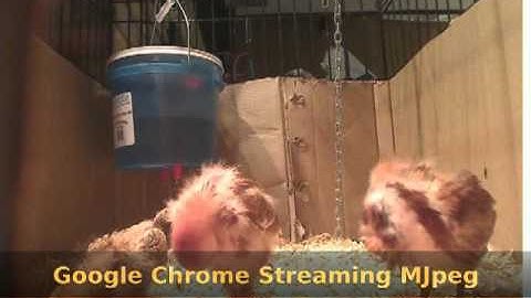 Firefox vs. Chrome streaming MJpeg