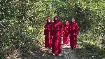 The Maddocks - Sheela / Liminal (OFFICIAL VIDEO)