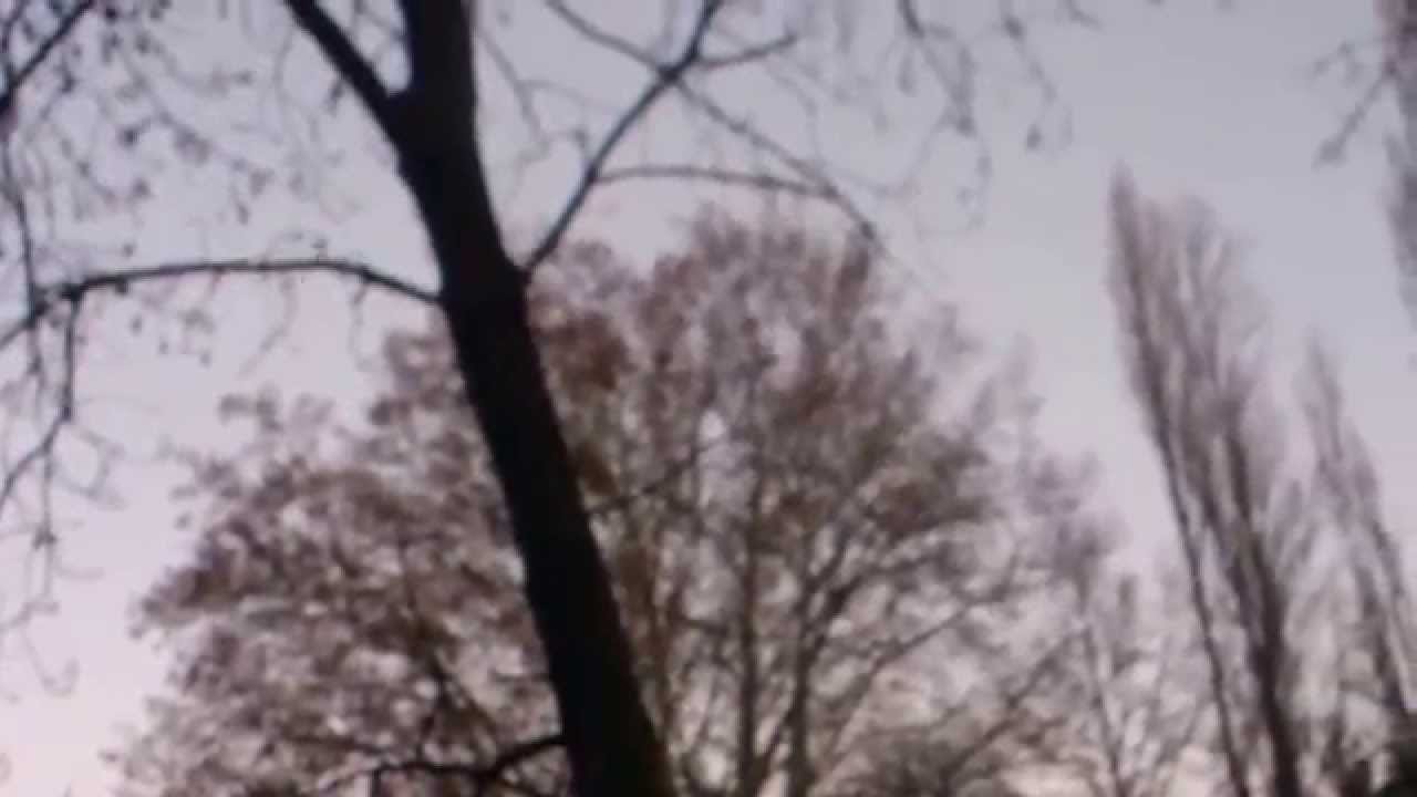 camera iphone 8 plus apk chant du corbeau freux