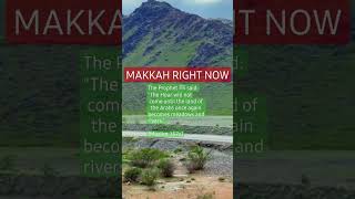 MAKKAH TURNS GREEN AGAIN