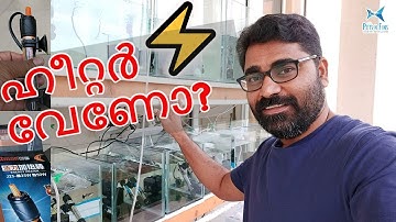 അക്വാറിയം ഹീറ്റർ എന്തിന്, എങ്ങിനെ ഉപയോഗിക്കണം? || Everything about Aquarium Heater || HOW TO: Select