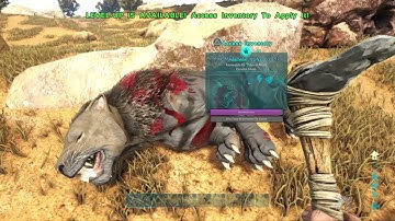How To Tame A Sabertooth Ark