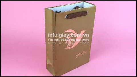 túi giấy đựng quà handmade