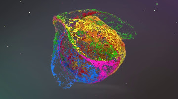 Intro Logo Animation Colors bubbles