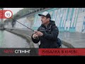 Рибалка в самому сердці Києва | NEW Спінінг №95