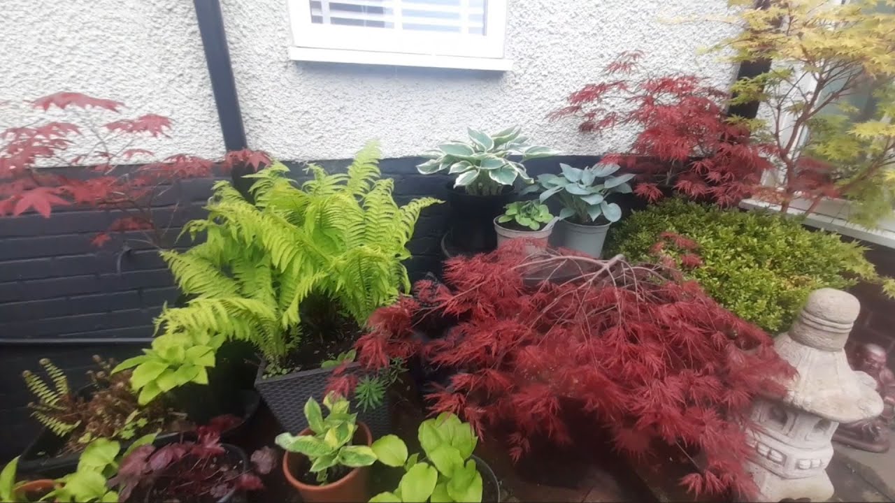 Spring courtyard dressing - YouTube