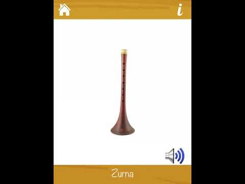 Tüm müzik aletleri