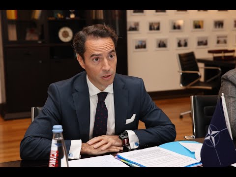 \"ევროკომისიის მიერ საქართველოსთვის წარდგენილი 9 დათქმა ნატოს მოთხოვნებსაც ფარავს\" - ხავიერ კოლომინა