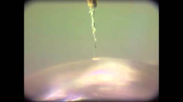 DNA capture with caption