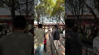 IMG 2876