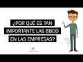 ¿Por qué es importante una base de datos para la empresa?