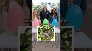 Only a Genius Can Answer All of These Animals Questions Correctly