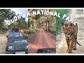 Dudhwa national park lakhimpur up  travelvlog tigerreserve dudhwanationalpark junglesafari