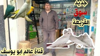 جديد عند سمحمد سوق القريعة 🔥 نتعرف على اثمنه الطيور 🦜 أكل الطيور والحيوانات الاليفه