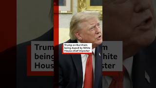Donald Trump says Burnham had 'miscommunication' with Wiles impersonator. #Politics #BBCNews