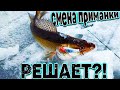 Смена приманки РЕШАЕТ. Ловля судака на ратлины.