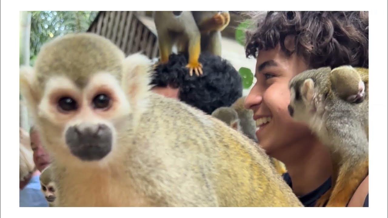 Monkeyland Tour in Puerto Plata, D.R.through Runners Adventures YouTube