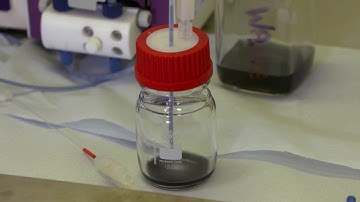 Continuous Flow Hydrogenation of a Slurry | Peristaltic Pumps | Catalyst Pumping