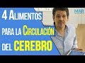 4 alimentos para la CIRCULACIÓN del CEREBRO