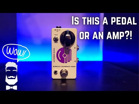 Robotic Celebrity Head By October Audio! Amp Or Pedal YOU Decide! Fuzz/Overdrive