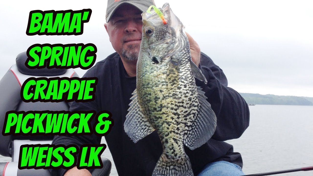 ALABAMA CRAPPIE IN APRIL- Pickwick & Weiss Lake Spring Trips 