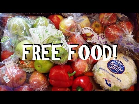 Free Food ~ Dumpster Diving for Groceries!!  How to Eliminate That Grocery Bill!!