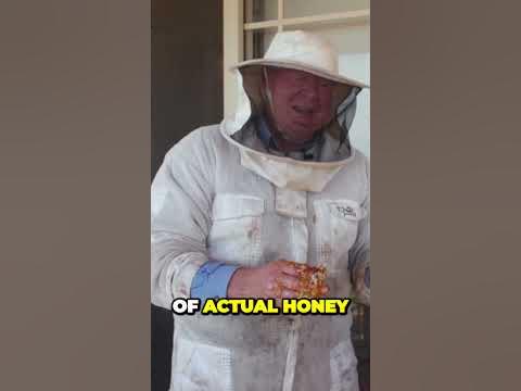 Uncover the Insane Flavors of Pure Honey Youve Been Missing - YouTube