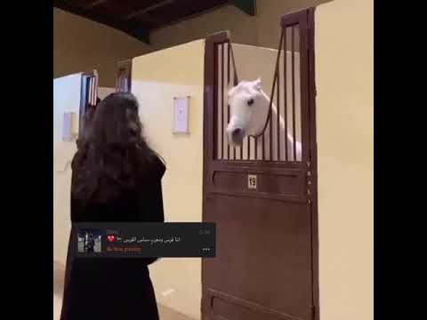 انا فرس ومعرب ساس الفرس