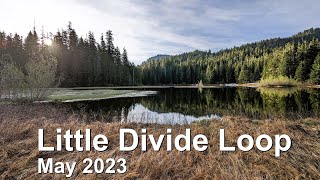 Bear Tracks While Hiking Little Divide Loop: Olympic National Park May 2023 [4K]
