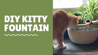 DIY Kitty Fountain