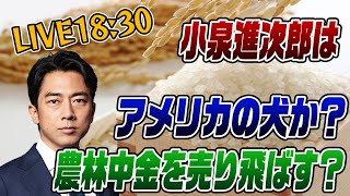 5/27ライブ！小泉進次郎ポスト石破に爆進中！彼はアメリカの犬か？農林中金を売り飛ばす？笑