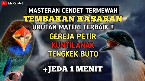 MASTERAN CENDET TERMEWAH..!!!TEMBAKAN KASARAN || GEREJA PETIR, KUNTILANAK, DAN TENGKEK BUTO !!