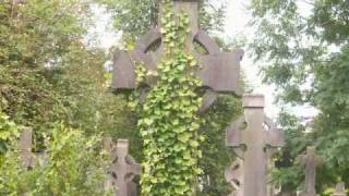 Lament for the Irish