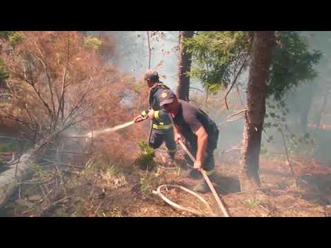 ბორჯომის ხეობაში ხანძრის ახალი კერები არ შეინიშნება