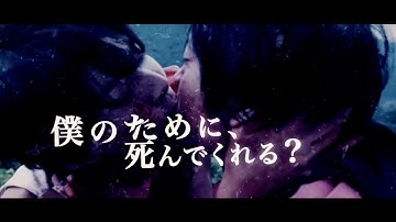 小宮璃央、浦上晟周、曽田陵介出演　新感覚BL学園ホラー！ 映画『グランギニョール』本編映像