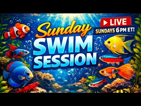 Sunday Swim Session