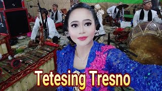 Tetesing Tresno - Rini Epeledut bersama Karawitan Cinde Laras