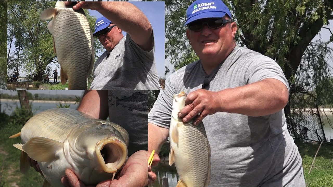 Риболов на Сом и Шаран в Криим_www.digitalstudio.bg - YouTube