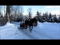 Zakopane Sleigh Ride, Poland, January 2013