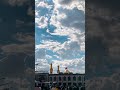 ريحانة المختار مصباح الهدى 