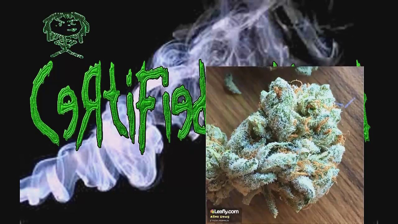 Certified Pothead - Alien Dawg