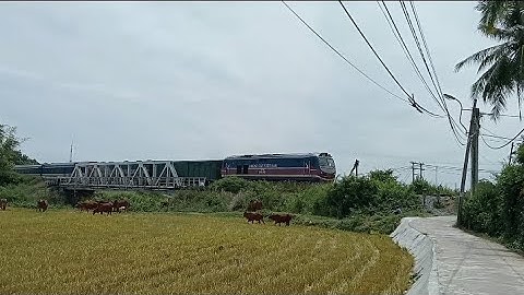 [196] D19E - 959 kéo SE7 qua cầu Thép (9h52, 18/9/2022)