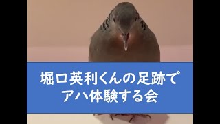堀口英利くんの足跡でアハ体験する会