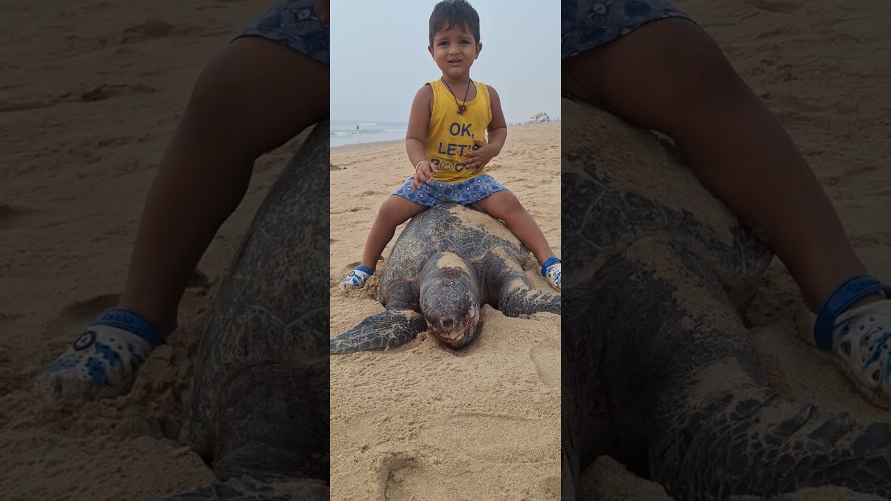 puri sea beach 🌊 video