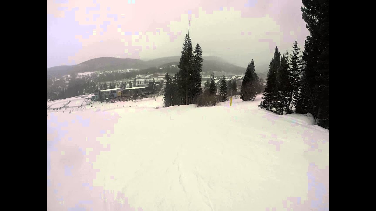 indian larry for sale